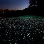 Beton fosforescent Izvoarele